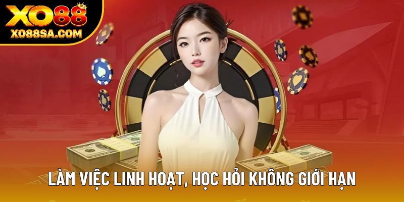 Làm việc linh hoạt, học hỏi không giới hạn